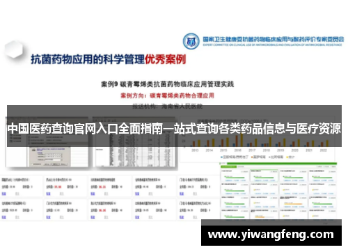 中国医药查询官网入口全面指南一站式查询各类药品信息与医疗资源