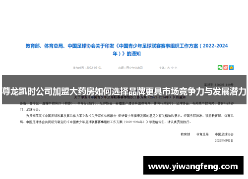 尊龙凯时公司加盟大药房如何选择品牌更具市场竞争力与发展潜力