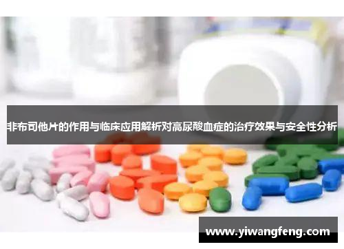 非布司他片的作用与临床应用解析对高尿酸血症的治疗效果与安全性分析