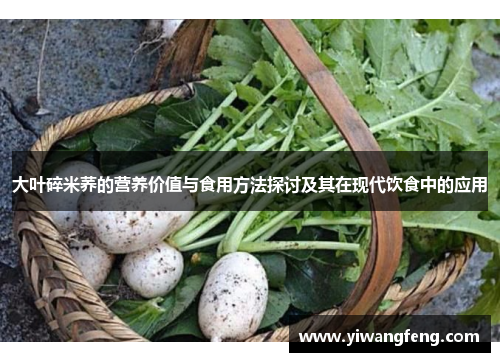 大叶碎米荞的营养价值与食用方法探讨及其在现代饮食中的应用